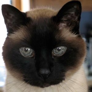 Meet your Posher, Patricia